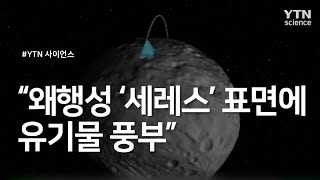 "왜행성 '세레스' 표면에 유기물 풍부" / YTN 사이언스