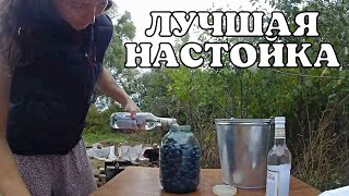 Непьющем не смотреть?!! Настойка на терне // Настойка на водке // Переезд в деревню