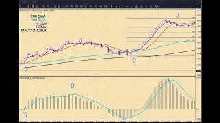 how to use best moving averages (MACD) forex trading strategies