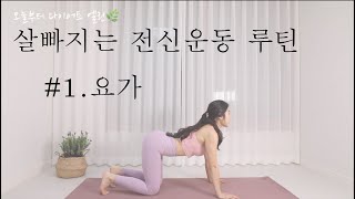 매일하는 살빠지는 운동 루틴 #1 요가