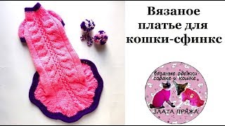 52. Вязаное платье для кошки-сфинкс Экспресс МК