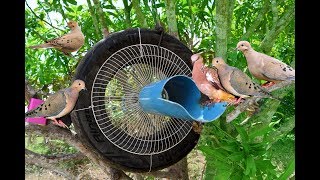 Awesome Quick Bird Trap Using Car Tire And Electric Fan Guard Bird Trap   Best Water Pipe Bird Trap