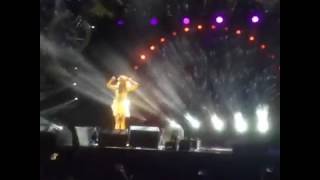 Лобода-Ночной мотылек. Жара 2017