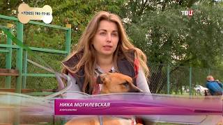 Снуфф