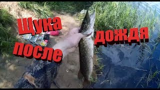 Ловля щуки на спиннинг.  Megabass Vision Oneten 110 в деле.