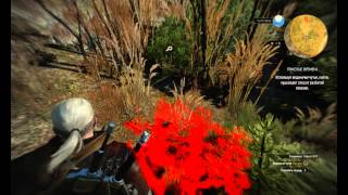 The Witcher 3 письмо для кузнеца в Каер Трольде