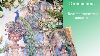 СП "В мире животных" отчет №3, Dimensions Величественный павлин