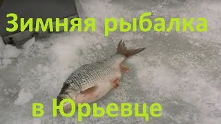 Диалоги о рыбалке - 210- Зимняя рыбалка в Юрьевце, ловля белой рыбы.