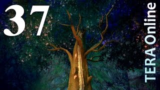 Примирение принцесс Пора-Элину. TERA Online (#37)