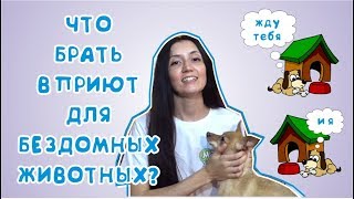 ЧТО БРАТЬ В ПРИЮТ? ИТОГИ НАБОРА В MFH!