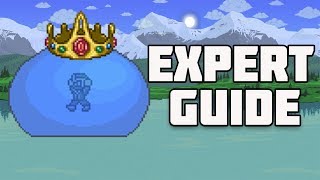 Terraria King Slime Expert Guide