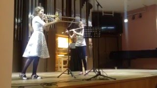 Ш.Данкла АAndante melodique (переложение для флейты и органа)
