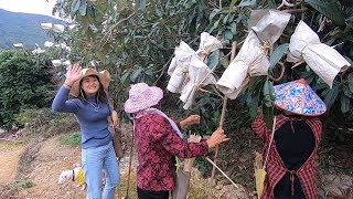 猪猪来大姨妈家包水果，累了烤点牛排吃，小日子真滋润
