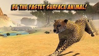 ??Wild Attack Cheetah Simulator -Симулятор гепарда Дикая атака -By  Wonderanimals