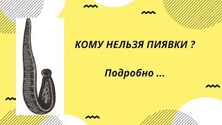 Когда нельзя ставить пиявки - гирудотерапия противопоказания