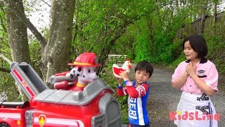 Paw patrol rescue toy パウ・パトロール ねみちゃんを助けるぞ！ おゆうぎ こうくんねみちゃん