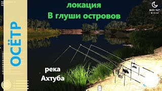 Русская рыбалка 4 - река Ахтуба - Осетр среди островов