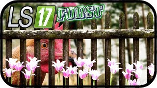 LS17 FORST Pacific Logging - RECHNUNG Hühnerzaun und ANGEBOT für die MAUER #080 ★ Farming Simulator