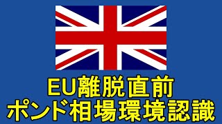 FXプチ勉強会044　EU離脱直前　ポンド相場環境認識