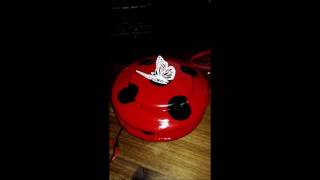 Miraculous Ladybug Yo-yo
