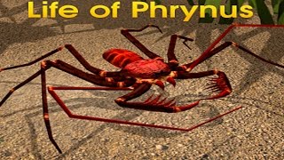 Life of Phrynus Whip Spider Android Gameplay HD