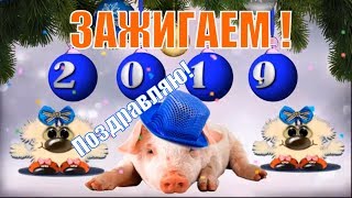Зажигаем! Новый 2019 год! Прикольное поздравление и пожелание с новым годом! Год свиньи !