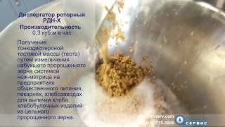 Диспергатор РДН-Х для измельчения пророщенного зерна