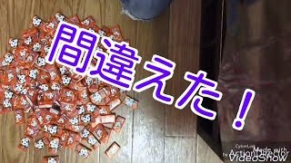 １０円ガム当たり付きを買ったと思ったが大変な事態に