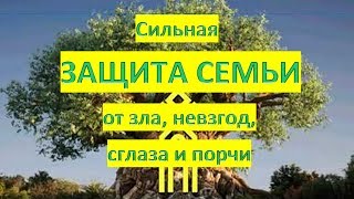 Программа Сильная ЗАЩИТА СЕМЬИ от зла невзгод сглаза порчи