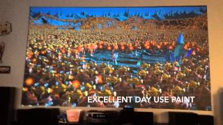 Black Projector projection screen (Az Black Pearl Paint) Epson 3500 / 3600e home theater DIY