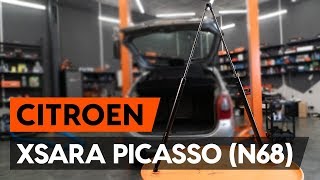 Как заменить амортизатор багажника на CITROEN XSARA PICASSO (N68) [ВИДЕОУРОК AUTODOC]