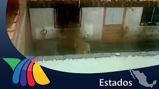 Maltratan a perro, ahora tiene un nuevo hogar | Noticias del Estado de México