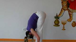 Yoga Sonnengruss - langsam und exakt