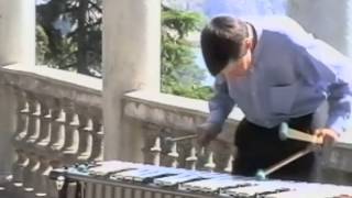 Classical music on Vibraphone. A.Chizhik Вибрафон 1996.