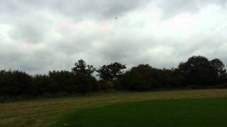 Stu flying T-Rex 550 3GX