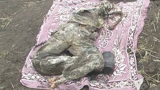 Зверства украинских карателей