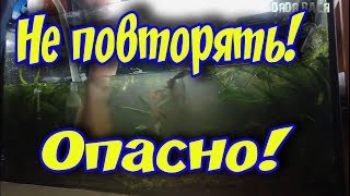 ТОТАЛЬНАЯ СИФОНКА ГРУНТА В АКВАРИУМЕ С РАСТЕНИЯМИ! НЕ ПОВТОРЯТЬ!