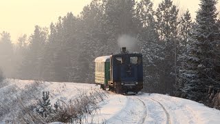 ТУ4 3088 с пассажирским поездом Угольная - Ельничная Алапаевской узкоколейной железной дороги.