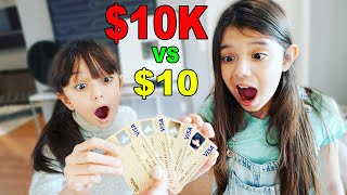 I'LL BUY ANYTHING IF YOU PICK THE RIGHT MONEY CARD CHALLENGE! $10 VS $10,000 | Emily and Evelyn
