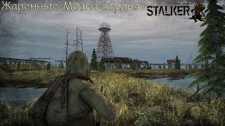 Stalker Online Квесты Гурмана ''Жареные Мозги Студня"