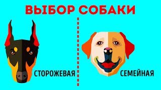 Как Выбрать Себе Идеальную Породу Собаки