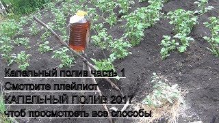 Капельный полив гениально и просто часть 1 Простая система из капельницы