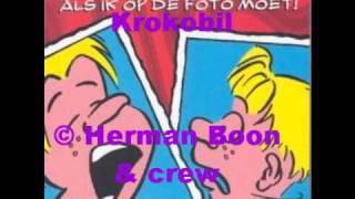 Herman Boon - Krokobil