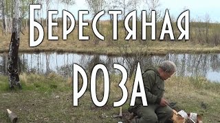 Берестяная роза