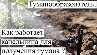 Туманообразователь. Капельница для образования тумана в теплицах. Монтаж и установка.