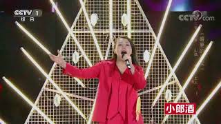 [星光大道]歌曲《盛夏的果实》 | CCTV
