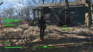 Fallout 4- Companion Ammo Tests
