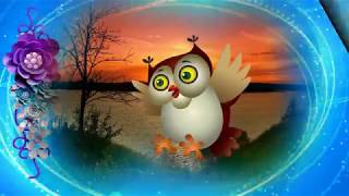 ФУТАЖИ # ПТИЦЫ #