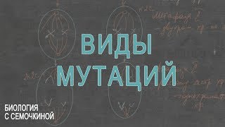 Виды мутаций