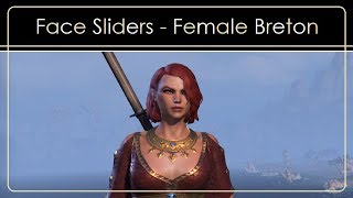 ESO Character Creation: Female Breton #2 Face Sliders